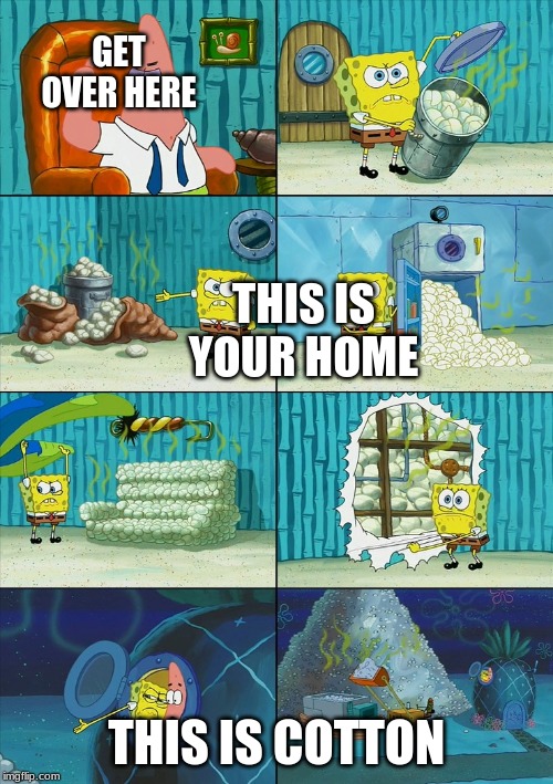 Spongebob shows Patrick Garbage | GET OVER HERE; THIS IS YOUR HOME; THIS IS COTTON | image tagged in spongebob shows patrick garbage | made w/ Imgflip meme maker