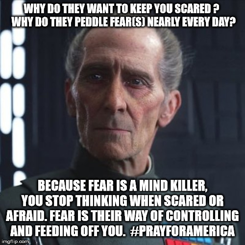 Fear will keep them in line | WHY DO THEY WANT TO KEEP YOU SCARED ?   WHY DO THEY PEDDLE FEAR(S) NEARLY EVERY DAY? BECAUSE FEAR IS A MIND KILLER, YOU STOP THINKING WHEN SCARED OR AFRAID. FEAR IS THEIR WAY OF CONTROLLING AND FEEDING OFF YOU.  #PRAYFORAMERICA | image tagged in fear will keep them in line | made w/ Imgflip meme maker