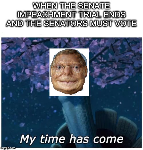 I demanded Trial by Combat from the beginning | WHEN THE SENATE IMPEACHMENT TRIAL ENDS AND THE SENATORS MUST VOTE | image tagged in my time has come | made w/ Imgflip meme maker