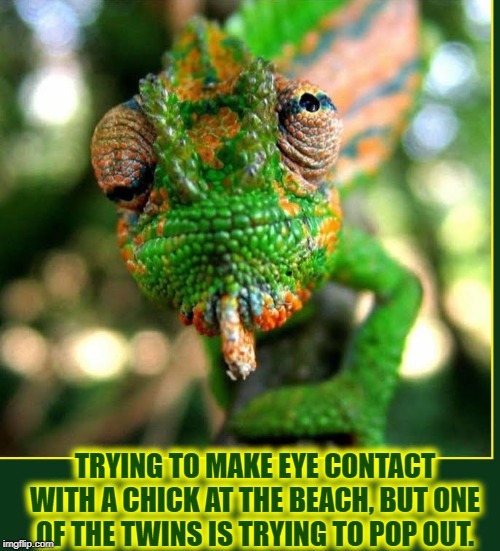 Physically Impossible | TRYING TO MAKE EYE CONTACT WITH A CHICK AT THE BEACH, BUT ONE   OF THE TWINS IS TRYING TO POP OUT. | image tagged in vince vance,eye contact,bikini girls,day at the beach,beach babe,lizards | made w/ Imgflip meme maker
