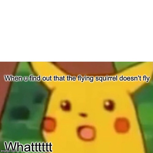Surprised Pikachu | When u find out that the flying squirrel doesn’t fly; Whatttttt | image tagged in memes,surprised pikachu | made w/ Imgflip meme maker