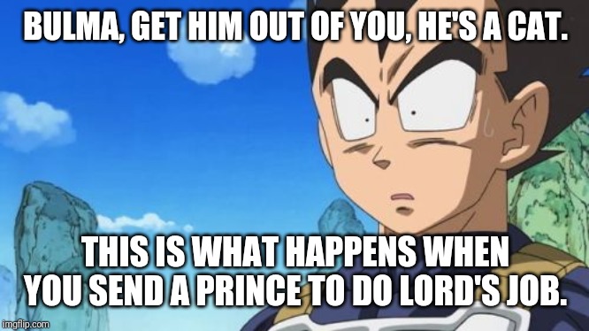 Surprized Vegeta | BULMA, GET HIM OUT OF YOU, HE'S A CAT. THIS IS WHAT HAPPENS WHEN YOU SEND A PRINCE TO DO LORD'S JOB. | image tagged in memes,surprized vegeta | made w/ Imgflip meme maker