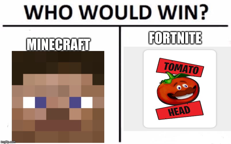 Who Would Win? | MINECRAFT; FORTNITE | image tagged in memes,who would win | made w/ Imgflip meme maker