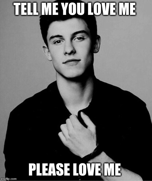 Shawn Mendes | TELL ME YOU LOVE ME; PLEASE LOVE ME | image tagged in shawn mendes | made w/ Imgflip meme maker