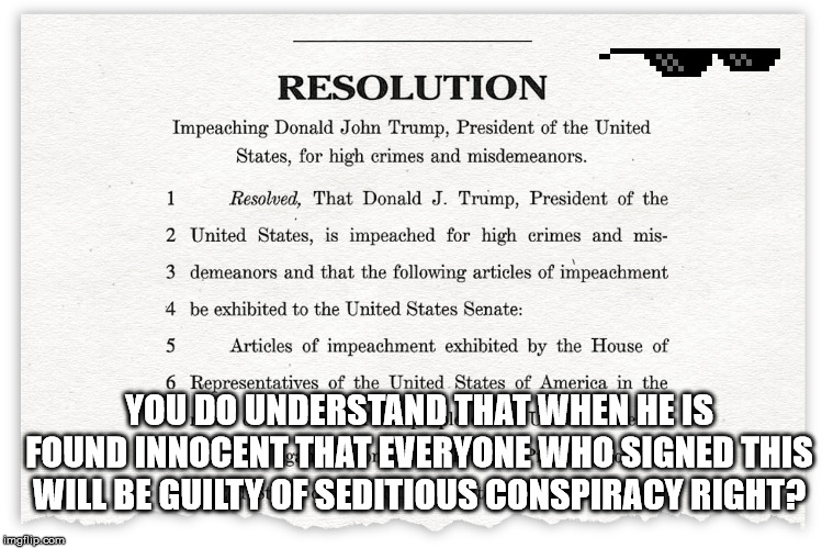 Left Turn Clyde | YOU DO UNDERSTAND THAT WHEN HE IS FOUND INNOCENT THAT EVERYONE WHO SIGNED THIS WILL BE GUILTY OF SEDITIOUS CONSPIRACY RIGHT? | image tagged in impeach trump,impeachment,trump impeachment | made w/ Imgflip meme maker