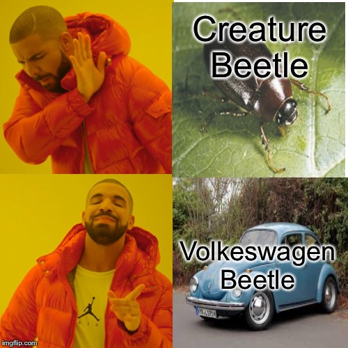 The Other Beetle | Creature Beetle; Volkeswagen Beetle | image tagged in memes,drake hotline bling,beetle,bug,volkswagen,funny | made w/ Imgflip meme maker