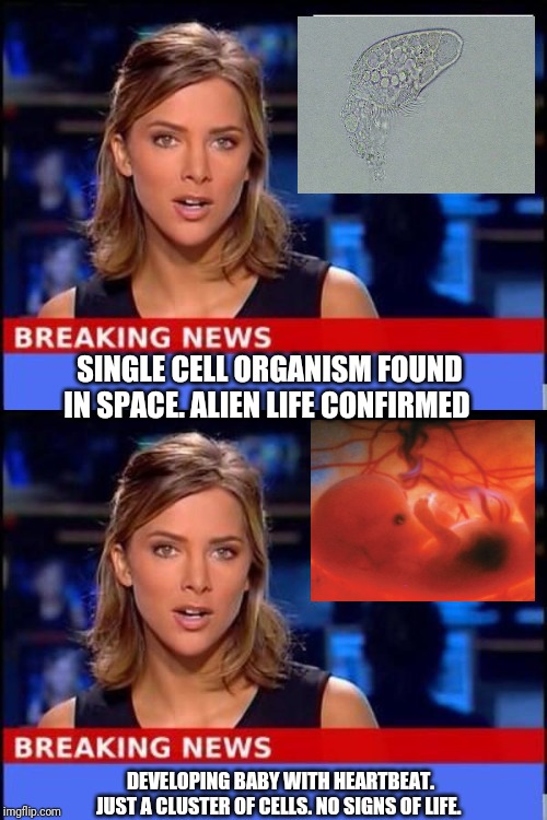 Liberals be like ... |  SINGLE CELL ORGANISM FOUND IN SPACE. ALIEN LIFE CONFIRMED; DEVELOPING BABY WITH HEARTBEAT. JUST A CLUSTER OF CELLS. NO SIGNS OF LIFE. | image tagged in breaking news | made w/ Imgflip meme maker