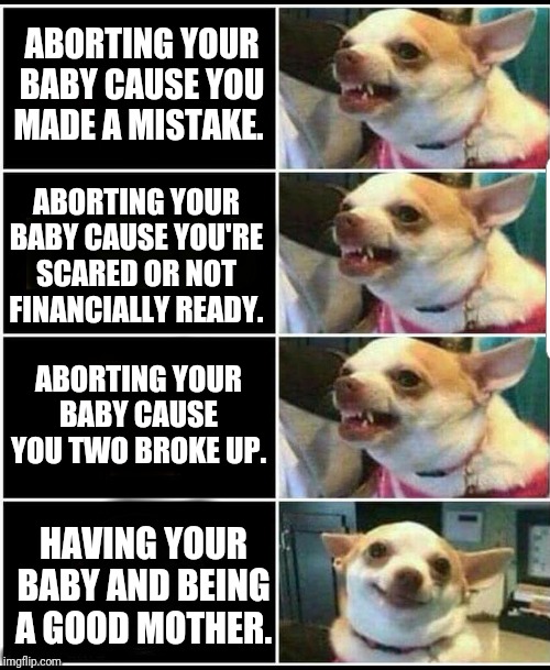 Poochie knows best. | ABORTING YOUR BABY CAUSE YOU MADE A MISTAKE. ABORTING YOUR BABY CAUSE YOU'RE SCARED OR NOT FINANCIALLY READY. ABORTING YOUR BABY CAUSE YOU TWO BROKE UP. HAVING YOUR BABY AND BEING A GOOD MOTHER. | image tagged in abortion,pro-life | made w/ Imgflip meme maker