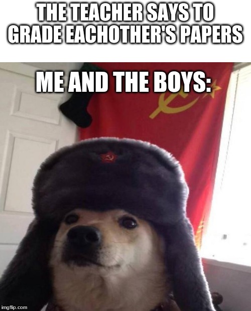 Russian Doge | THE TEACHER SAYS TO GRADE EACHOTHER'S PAPERS; ME AND THE BOYS: | image tagged in russian doge | made w/ Imgflip meme maker