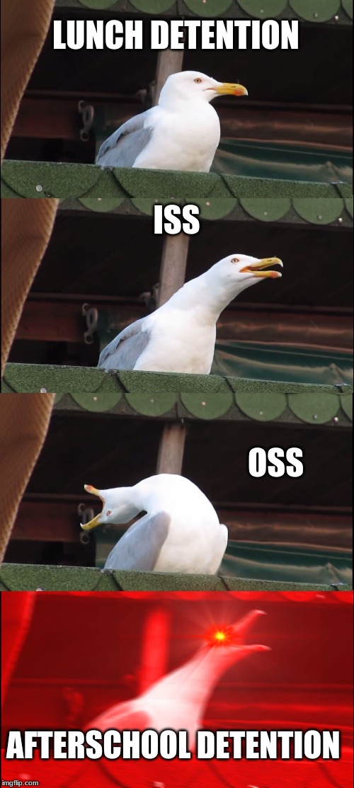 Inhaling Seagull | LUNCH DETENTION; ISS; OSS; AFTERSCHOOL DETENTION | image tagged in memes,inhaling seagull | made w/ Imgflip meme maker