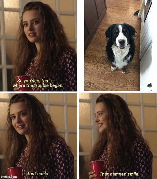 That Damn Smile | image tagged in that damn smile | made w/ Imgflip meme maker