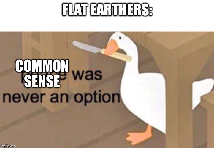 FLAT EARTHERS:; COMMON SENSE | image tagged in blank white template,untitled goose peace was never an option | made w/ Imgflip meme maker