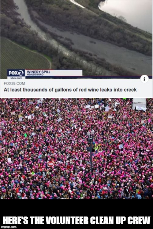 Wine and Women | HERE'S THE VOLUNTEER CLEAN UP CREW | image tagged in womens march | made w/ Imgflip meme maker