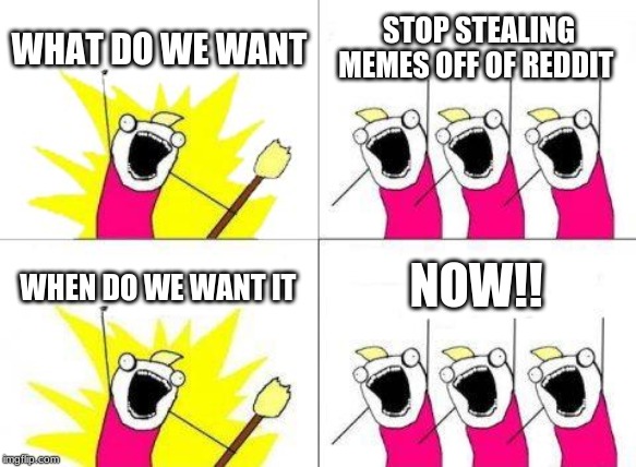 What Do We Want Meme | WHAT DO WE WANT; STOP STEALING MEMES OFF OF REDDIT; NOW!! WHEN DO WE WANT IT | image tagged in memes,what do we want | made w/ Imgflip meme maker