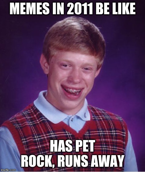 Bad Luck Brian | MEMES IN 2011 BE LIKE; HAS PET ROCK, RUNS AWAY | image tagged in memes,bad luck brian | made w/ Imgflip meme maker