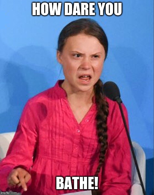 Greta Thunberg how dare you | HOW DARE YOU; BATHE! | image tagged in greta thunberg how dare you | made w/ Imgflip meme maker