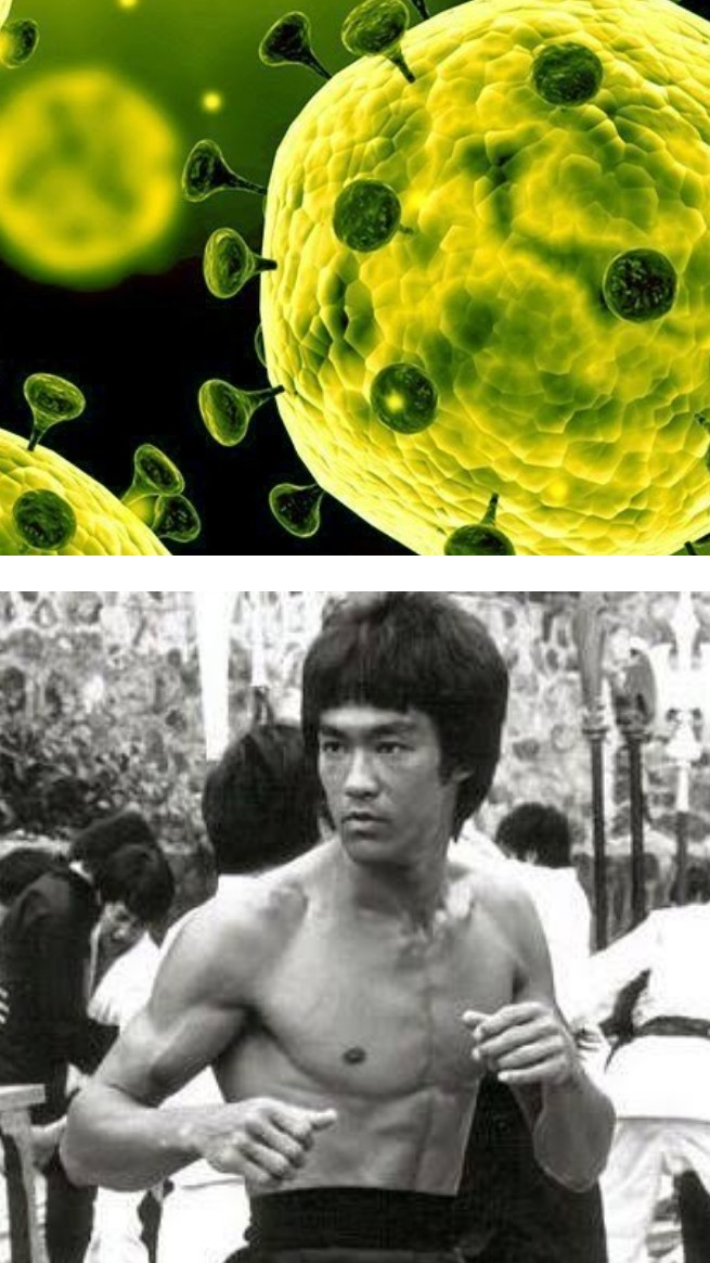 Coronavirus Pun Blank Meme Template
