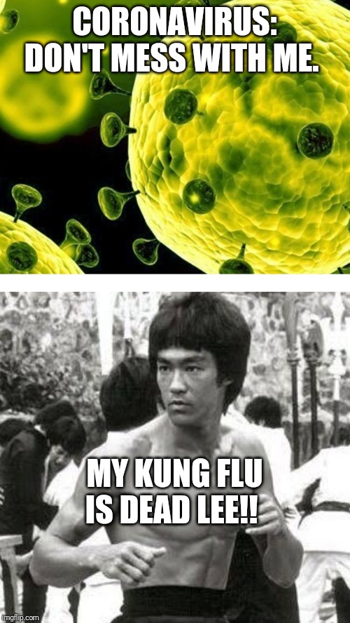Coronavirus Pun |  CORONAVIRUS: DON'T MESS WITH ME. MY KUNG FLU IS DEAD LEE!! | image tagged in coronavirus pun | made w/ Imgflip meme maker