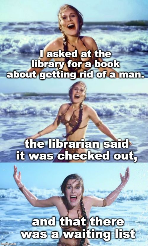 there is a taste of the cruel in all humor. | I asked at the library for a book about getting rid of a man. the librarian said it was checked out, and that there was a waiting list | image tagged in bad pun leia,men vs women,true story bro,meme 18 | made w/ Imgflip meme maker