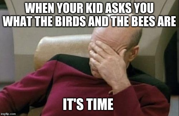 Captain Picard Facepalm Meme | WHEN YOUR KID ASKS YOU WHAT THE BIRDS AND THE BEES ARE; IT'S TIME | image tagged in memes,captain picard facepalm | made w/ Imgflip meme maker