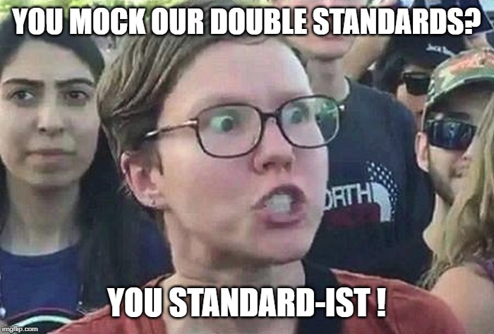 Triggered Liberal | YOU MOCK OUR DOUBLE STANDARDS? YOU STANDARD-IST ! | image tagged in triggered liberal | made w/ Imgflip meme maker