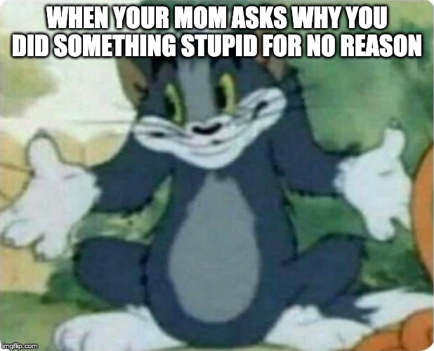 Tom Shrugging | WHEN YOUR MOM ASKS WHY YOU DID SOMETHING STUPID FOR NO REASON | image tagged in tom shrugging | made w/ Imgflip meme maker