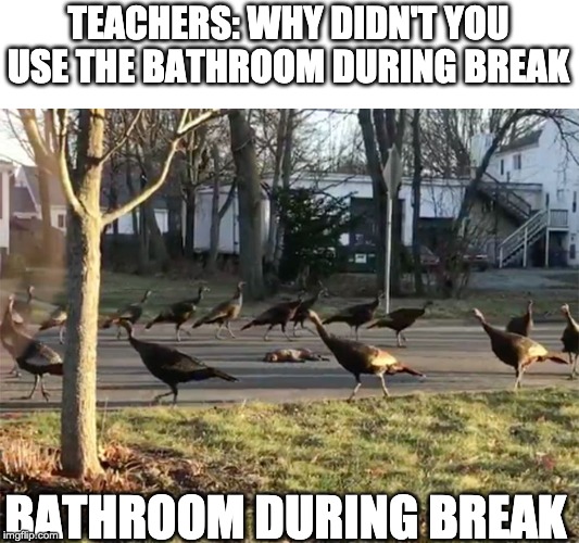TEACHERS: WHY DIDN'T YOU USE THE BATHROOM DURING BREAK; BATHROOM DURING BREAK | image tagged in school | made w/ Imgflip meme maker