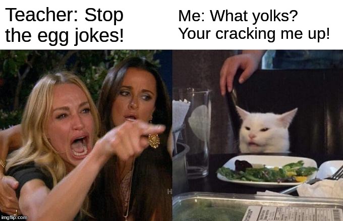 Woman Yelling At Cat | Teacher: Stop the egg jokes! Me: What yolks? Your cracking me up! | image tagged in memes,woman yelling at cat | made w/ Imgflip meme maker