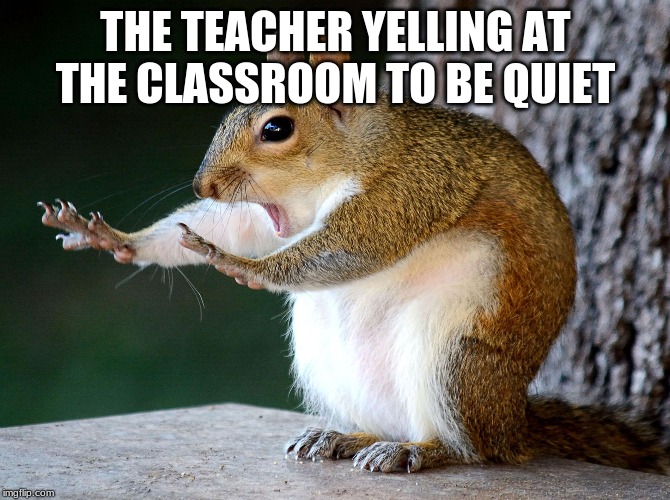 THE TEACHER YELLING AT THE CLASSROOM TO BE QUIET | image tagged in squirrel | made w/ Imgflip meme maker