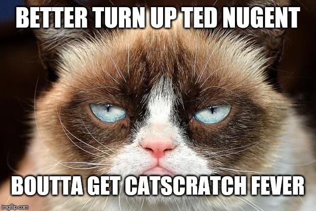 Grumpy Cat Not Amused | BETTER TURN UP TED NUGENT; BOUTTA GET CATSCRATCH FEVER | image tagged in memes,grumpy cat not amused,grumpy cat | made w/ Imgflip meme maker