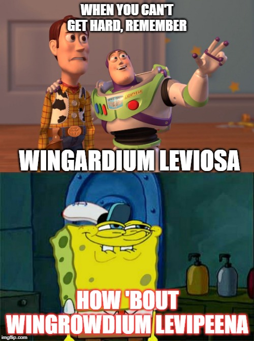 WHEN YOU CAN'T GET HARD, REMEMBER; WINGARDIUM LEVIOSA; HOW 'BOUT WINGROWDIUM LEVIPEENA | image tagged in memes,dont you squidward,x x everywhere | made w/ Imgflip meme maker