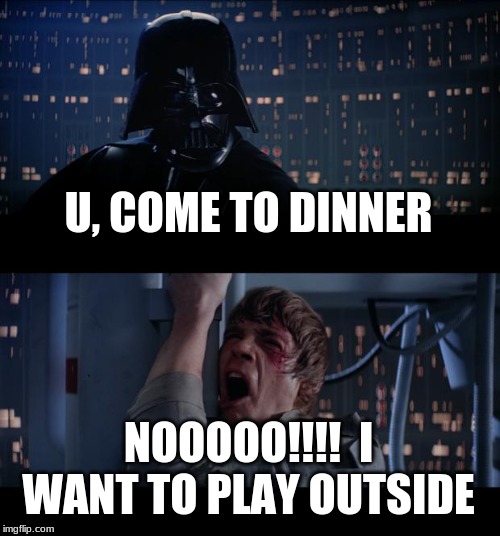 This be all uv us | U, COME TO DINNER; NOOOOO!!!!  I WANT TO PLAY OUTSIDE | image tagged in memes,star wars no | made w/ Imgflip meme maker