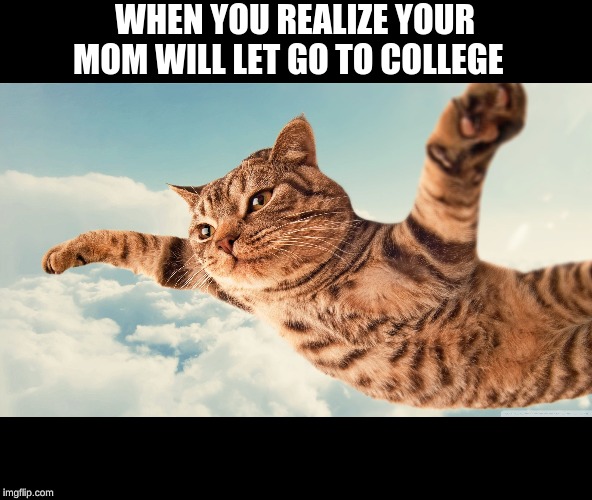 the happy cat | WHEN YOU REALIZE YOUR MOM WILL LET GO TO COLLEGE | image tagged in hide the pain harold | made w/ Imgflip meme maker