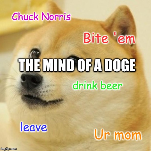 Doge | Chuck Norris; Bite 'em; THE MIND OF A DOGE; drink beer; leave; Ur mom | image tagged in memes,doge | made w/ Imgflip meme maker