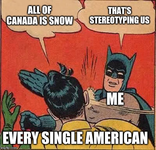 Batman Slapping Robin | ALL OF CANADA IS SNOW; THAT'S STEREOTYPING US; ME; EVERY SINGLE AMERICAN | image tagged in memes,batman slapping robin | made w/ Imgflip meme maker