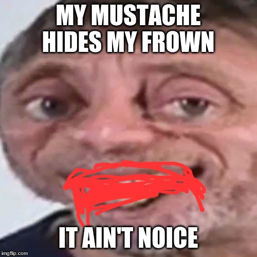 Noice | MY MUSTACHE HIDES MY FROWN; IT AIN'T NOICE | image tagged in noice | made w/ Imgflip meme maker