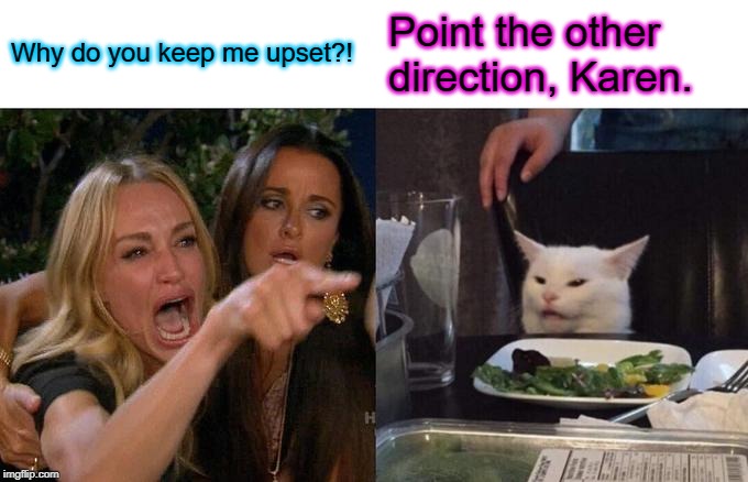 Woman Yelling At Cat Meme | Why do you keep me upset?! Point the other direction, Karen. | image tagged in memes,woman yelling at cat | made w/ Imgflip meme maker