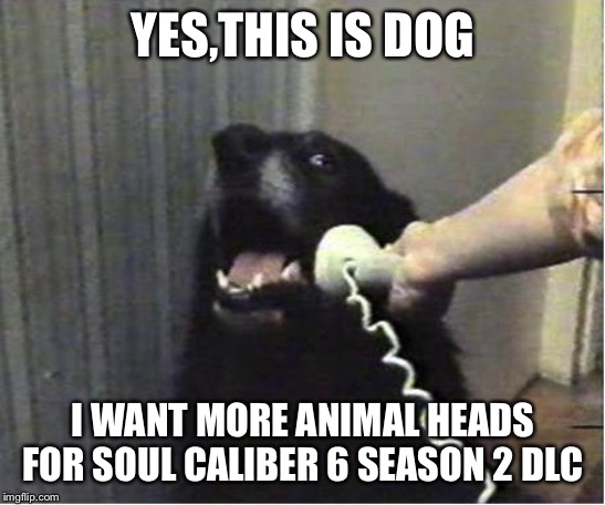 Yes this is dog | YES,THIS IS DOG; I WANT MORE ANIMAL HEADS FOR SOUL CALIBER 6 SEASON 2 DLC | image tagged in yes this is dog | made w/ Imgflip meme maker