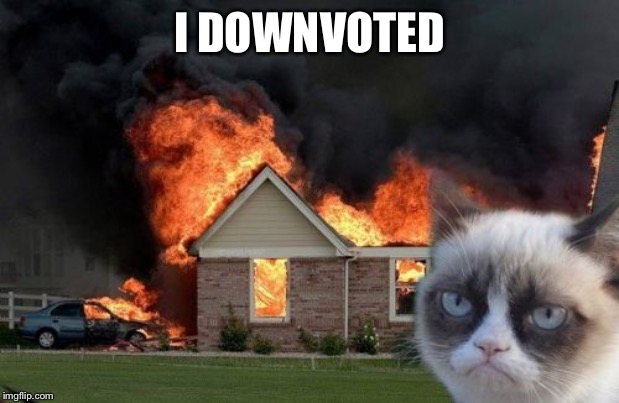Burn Kitty Meme | I DOWNVOTED | image tagged in memes,burn kitty,grumpy cat | made w/ Imgflip meme maker