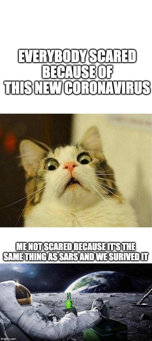 Scared Cat | EVERYBODY SCARED BECAUSE OF THIS NEW CORONAVIRUS; ME NOT SCARED BECAUSE IT'S THE SAME THING AS SARS AND WE SURIVED IT | image tagged in memes,scared cat | made w/ Imgflip meme maker