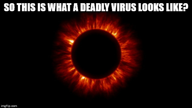 SO THIS IS WHAT A DEADLY VIRUS LOOKS LIKE? | made w/ Imgflip meme maker