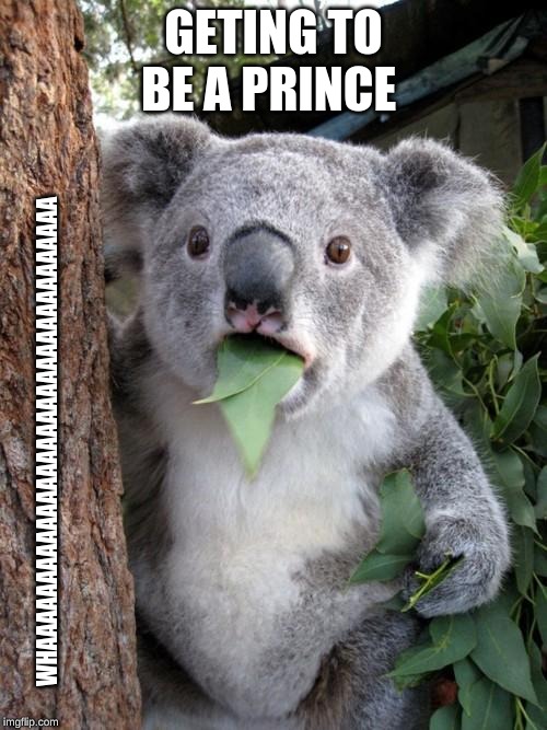 Surprised Koala Meme | GETING TO BE A PRINCE; WHAAAAAAAAAAAAAAAAAAAAAAAAAAAAAAAAAA | image tagged in memes,surprised koala | made w/ Imgflip meme maker