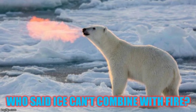 Polar Power! | WHO SAID ICE CAN'T COMBINE WITH FIRE? | image tagged in bee | made w/ Imgflip meme maker