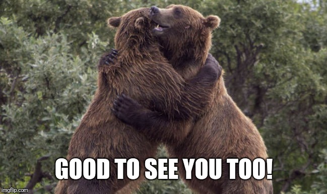 Bear hug | GOOD TO SEE YOU TOO! | image tagged in bear hug | made w/ Imgflip meme maker