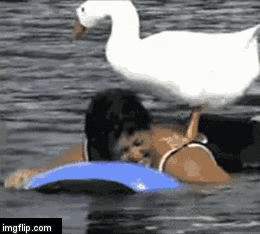 ONWARD HUMAN | image tagged in gifs,ducks,goose | made w/ Imgflip video-to-gif maker