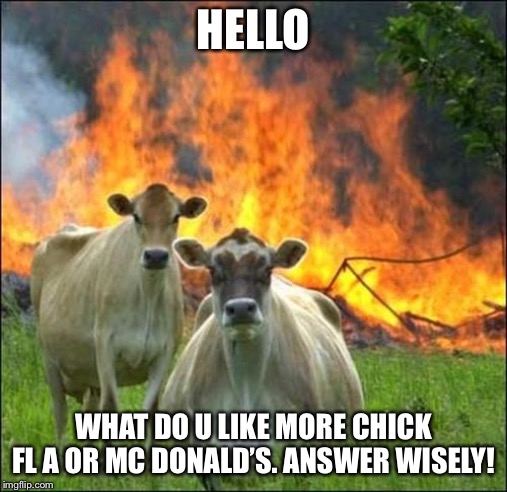 Evil Cows Meme | HELLO; WHAT DO U LIKE MORE CHICK FL A OR MC DONALD’S. ANSWER WISELY! | image tagged in memes,evil cows | made w/ Imgflip meme maker