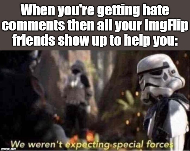 Noice. | When you're getting hate comments then all your ImgFlip friends show up to help you: | image tagged in we werent expecting special forces,imgflip users,imgflip,haters gonna hate | made w/ Imgflip meme maker