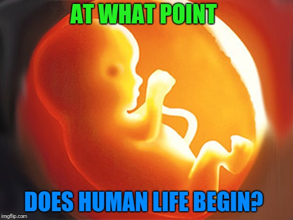 Some say it's conception,  some say birth,  others at some point between. | AT WHAT POINT; DOES HUMAN LIFE BEGIN? | image tagged in unborn child,human rights | made w/ Imgflip meme maker