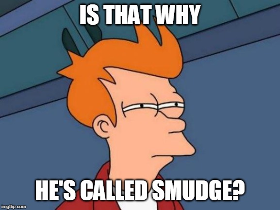 Futurama Fry Meme | IS THAT WHY HE'S CALLED SMUDGE? | image tagged in memes,futurama fry | made w/ Imgflip meme maker