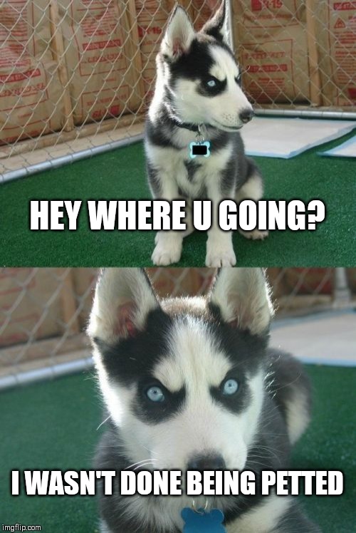 Insanity Puppy Meme | HEY WHERE U GOING? I WASN'T DONE BEING PETTED | image tagged in memes,insanity puppy | made w/ Imgflip meme maker